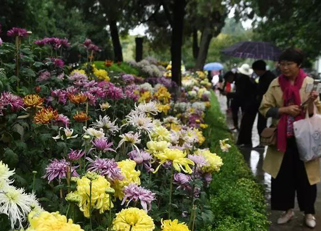 环球在线新闻 国庆假期首日 云南接待游客323.61万人次