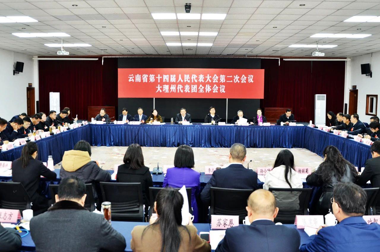 省十四届人大二次会议大理州代表团审议省人大常委会工作报告和省“两院”工作报告 杨国宗陈真永张剑萍参加审议