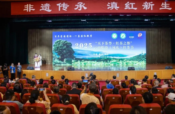 2025“天下茶尊·红茶之都”云南临沧（凤庆）红茶节开幕