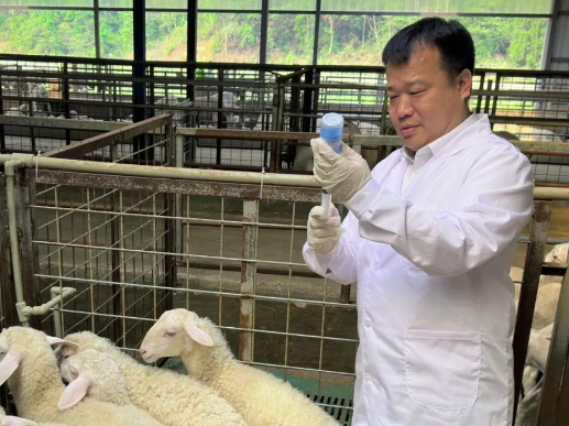 最美科技人 | 祝贺唐圣果！获选2025年“云岭最美科技人”