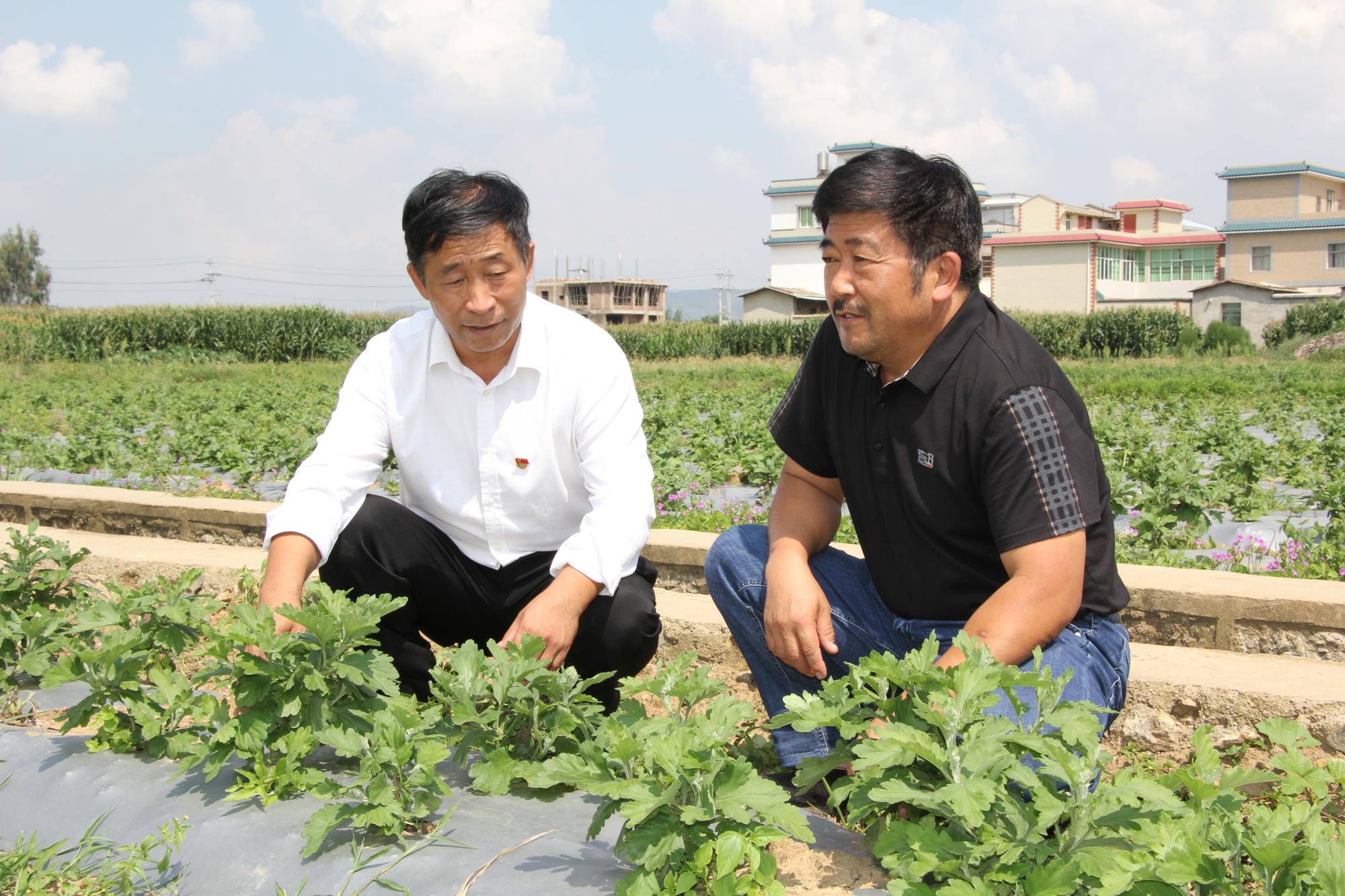 云南出台“十个一批”行动计划 推动劳动者“家门口”就业