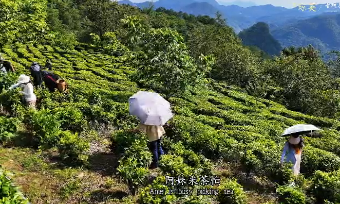 临沧凤庆歌曲《回到琼英》举行首发仪式