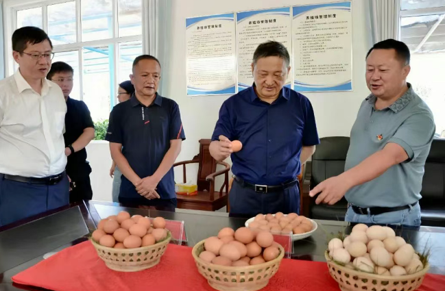 要闻｜杨国宗到巍山县调研时强调 抢抓机遇谋突破 固强补弱提质效 加力推动全县经济社会高质量发展