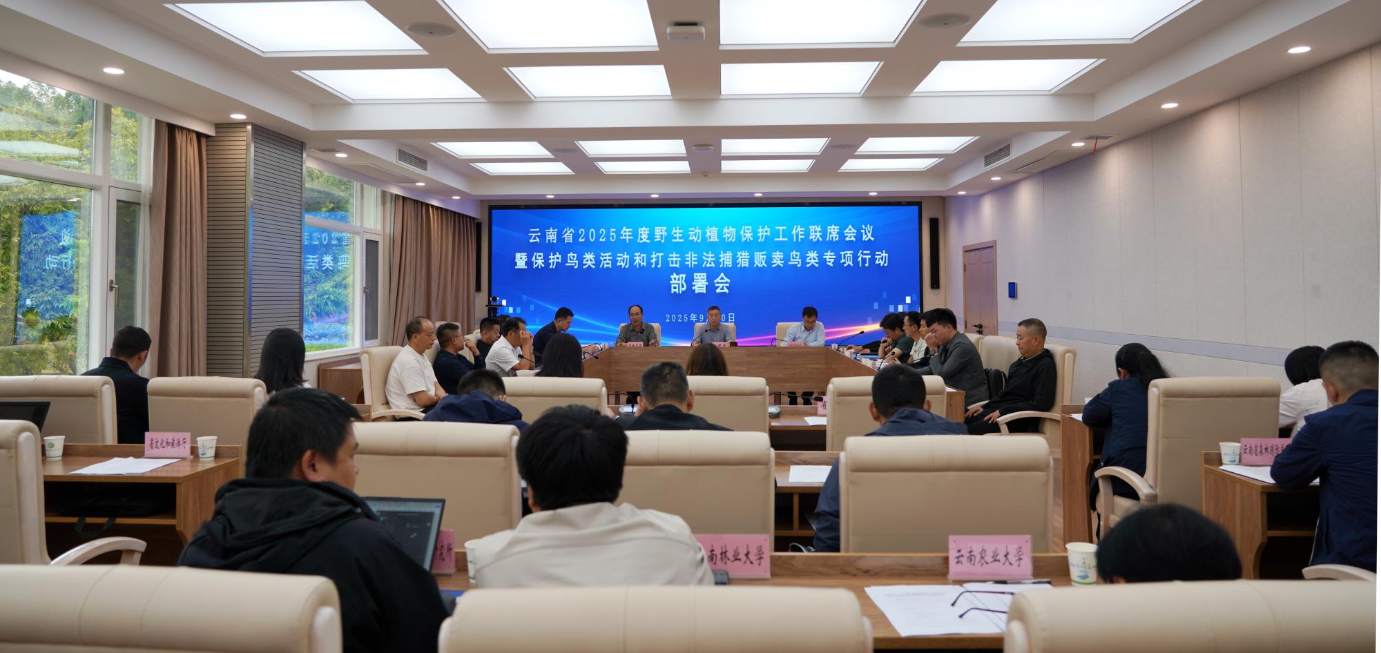 云南部署保护鸟类专项行动