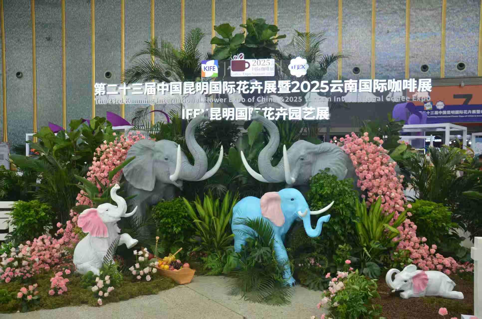 六万平米绽放春城，四大产业首度联展：第二十三届昆明国际花卉展启幕