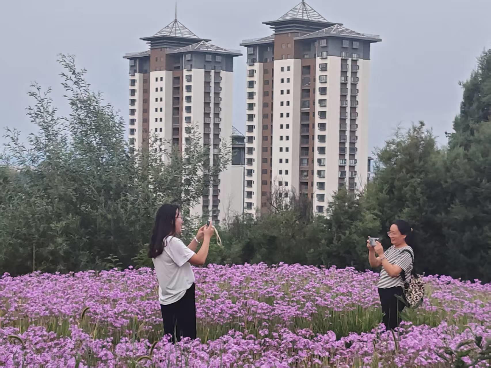 云南祥云县加大力度推进生态文明建设进程