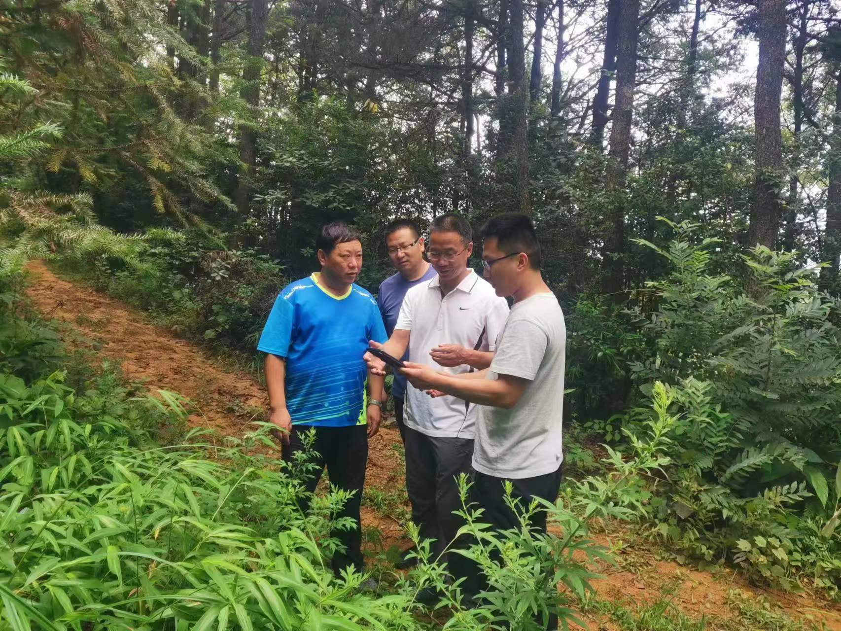 全面停伐迈向科学管护——天然林保护修复的云南实践
