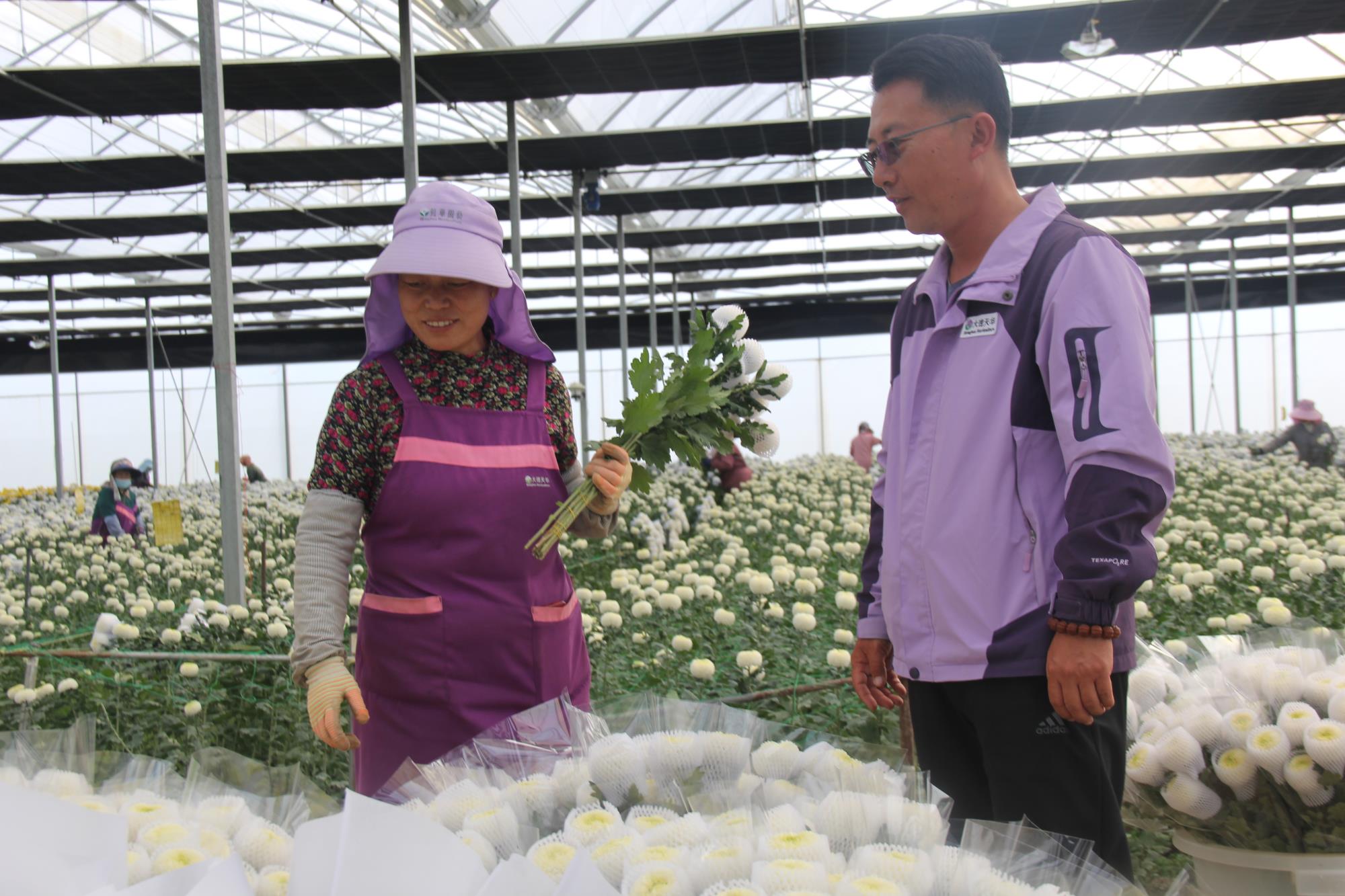 云南祥云县提升服务质效推进就业创业