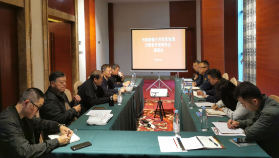 云南磨憨开发投资集团到访云南省未来研究会共商“口岸经济”发展新路径