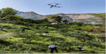 数智赋能“世界之最”，开放激活边疆活力——临沧以“三大抓手”绘就“十五五”乡村振兴高质量图景