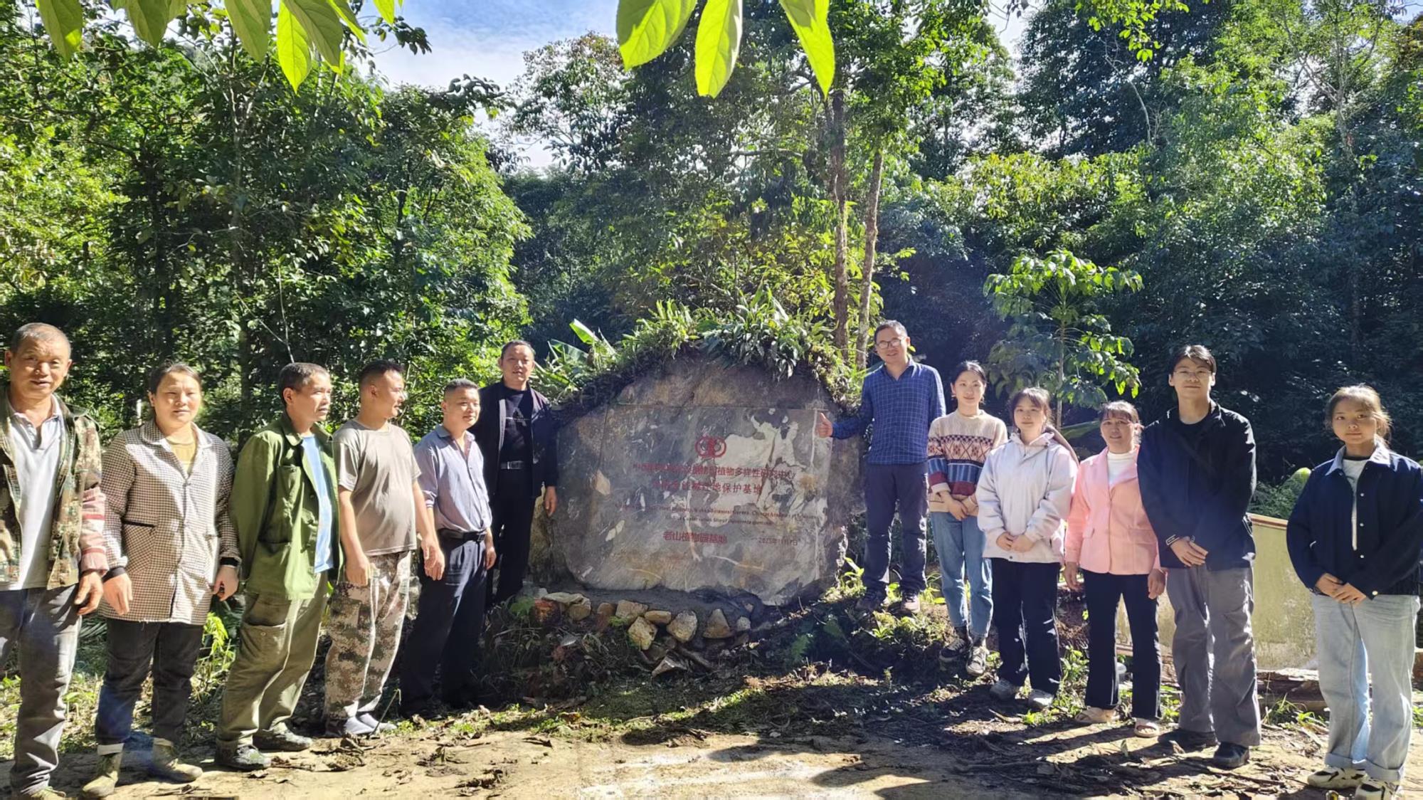 跨越千里的生命接力 极小种群金钱槭在老山成功“安家”
