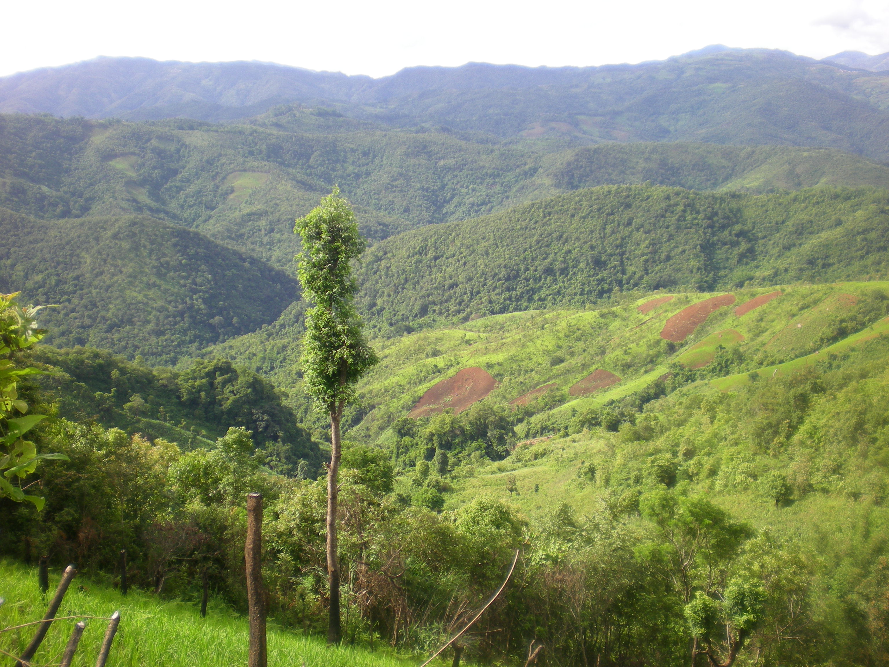 从改善生态环境入手提升乡村振兴质效