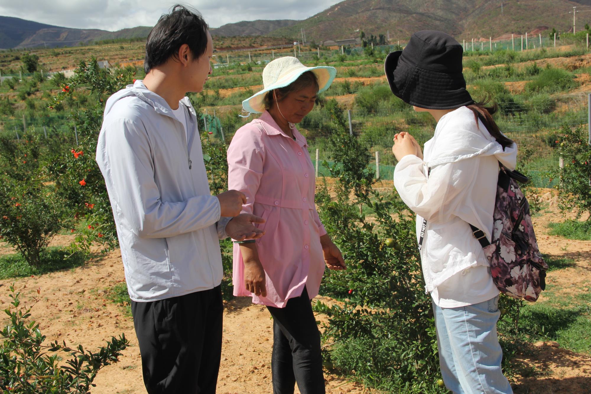 云南祥云县持续推进生态文明建设