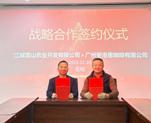 云南江城新增一有机咖啡基地，面积达4600亩