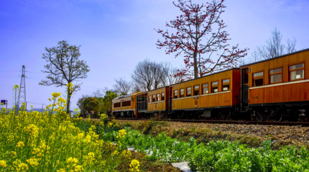 深化改革往前行（专业研究，摸着“道砟”过河）