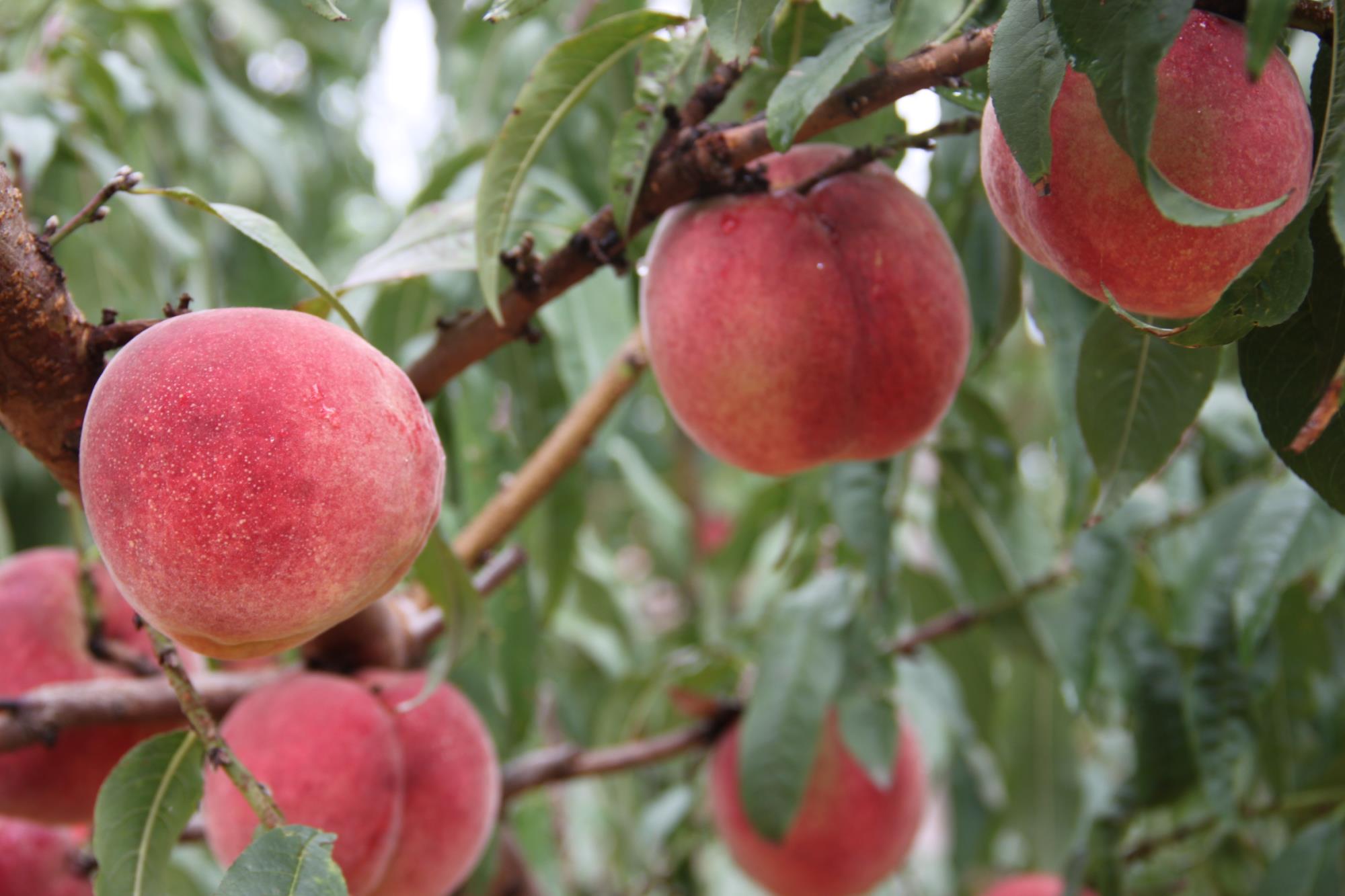 提提失败也有益