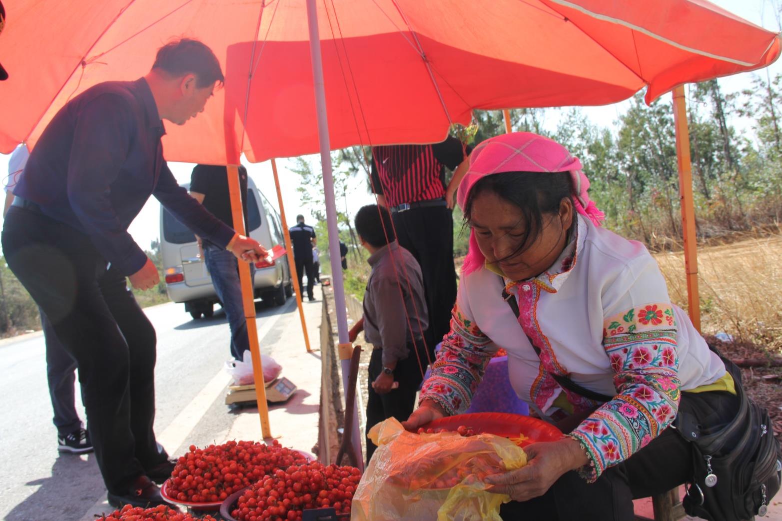 云南祥云县文旅融合促发展