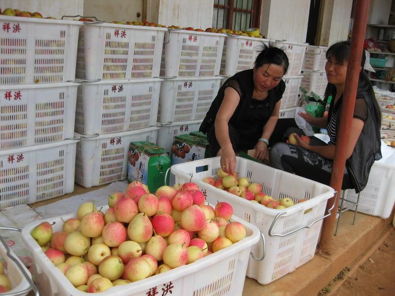 云南祥云县红梨综合产值突破亿元