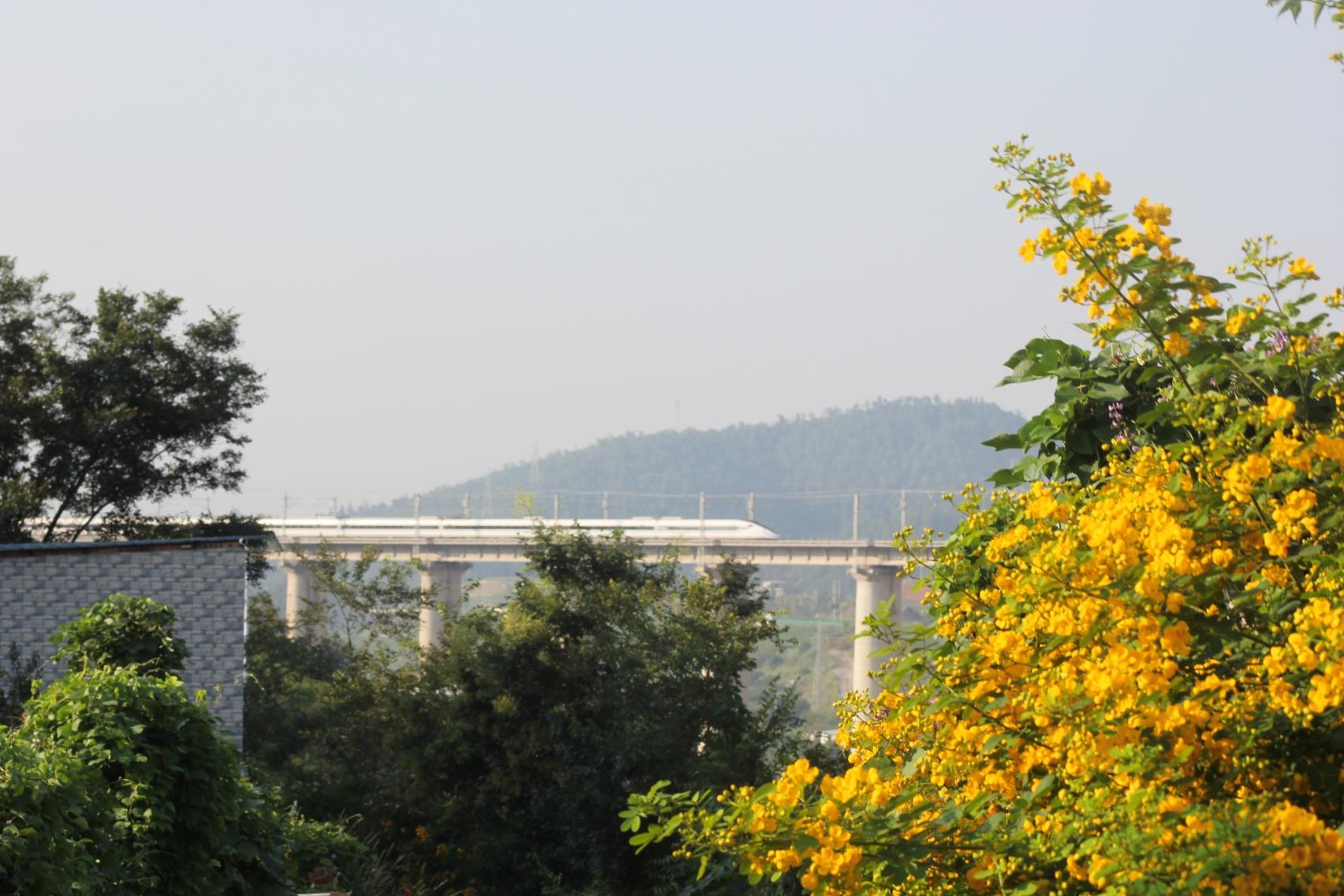 云南祥云县“十四五”经济发展成就显著