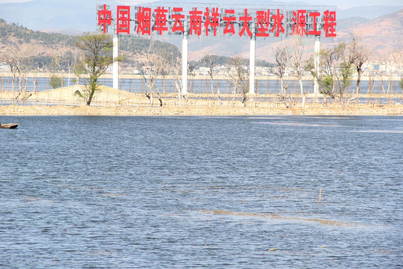 今朝旱坝变绿洲