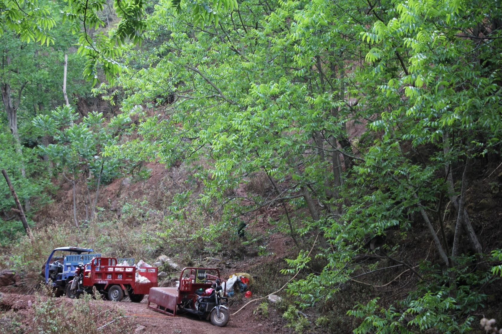 云南祥云县妙姑村盘活集体经济“空壳村”变“幸福村”