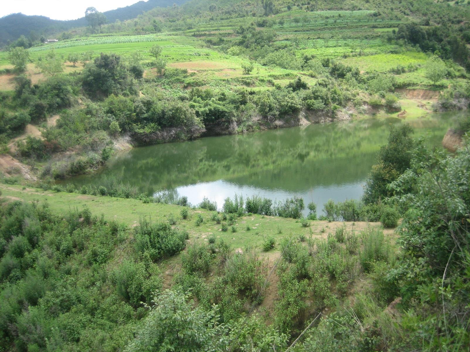 云南祥云县强化建管护高质量推进林草产业发展