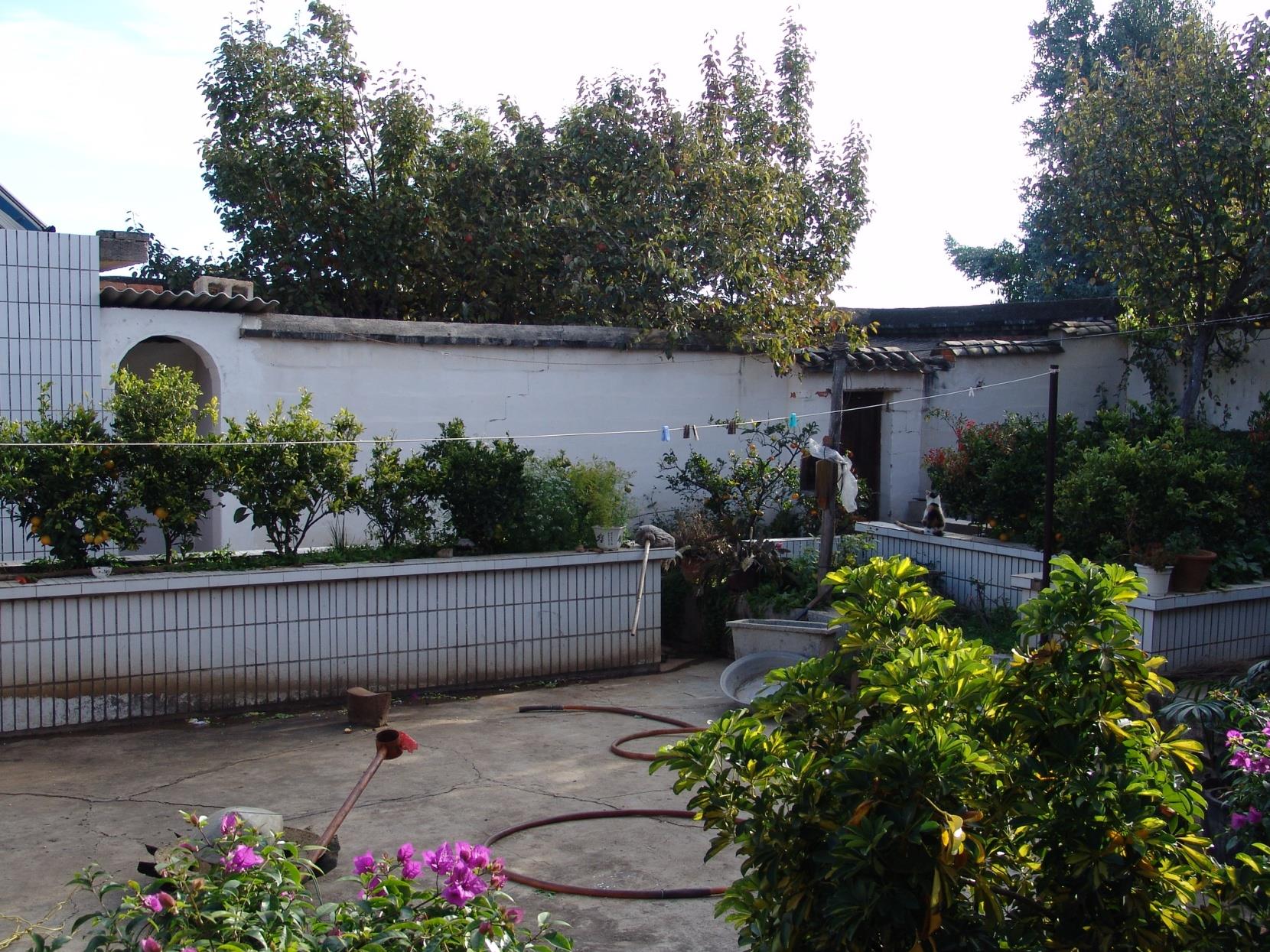 云南祥云县祥城镇：集体经济稳增长 乡村振兴气象新