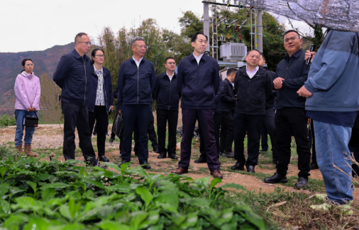 怒江州召开咖啡产业高质量发展座谈会