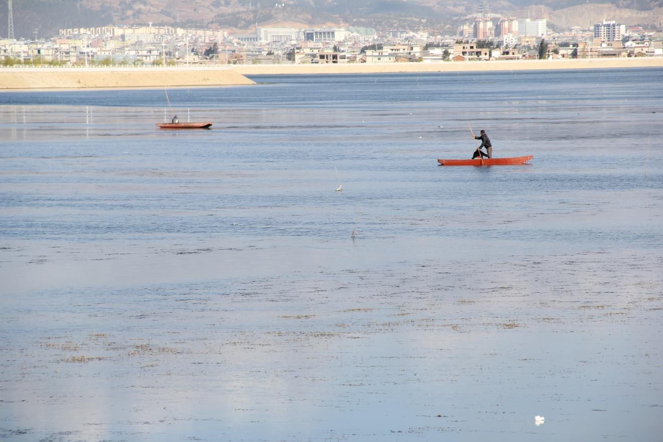 云南祥云县水库水生态廊道治理卓有成效