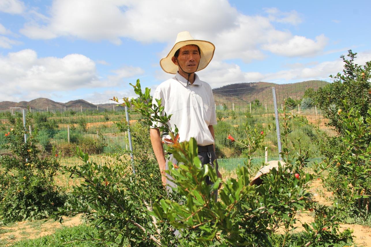 云南祥云县做优高原特色农业助力群众增收