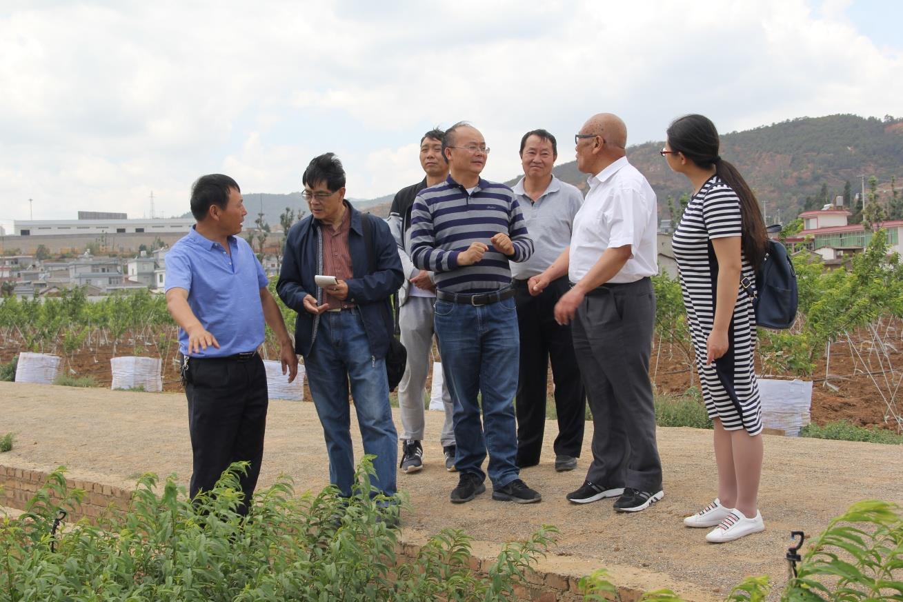 云南祥云县老科协以典型引路提振乡村振兴