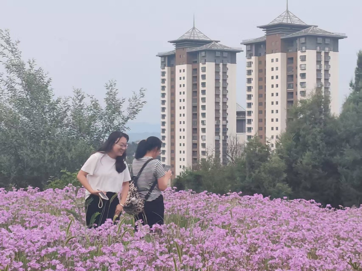 云南祥云县推进美丽县城建设