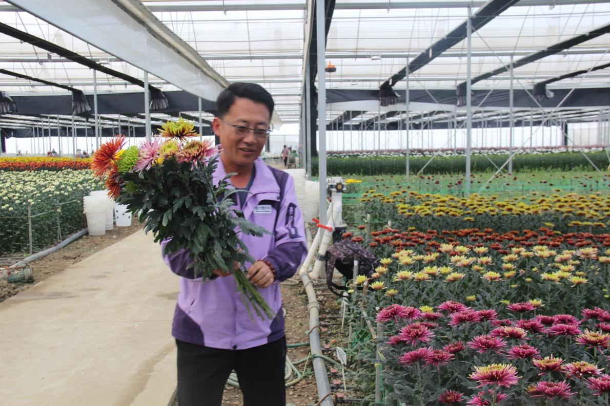 优化服务环境 加速招商引资