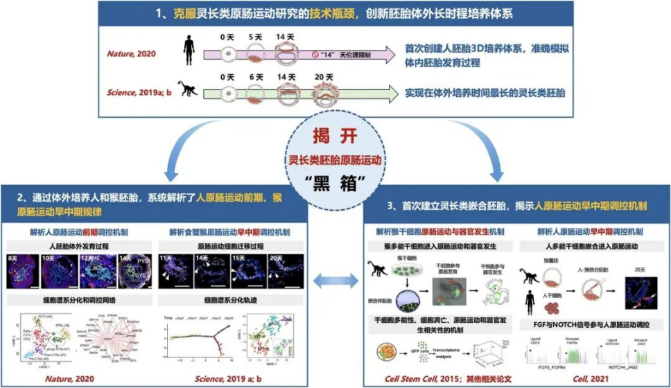 云南昆明理工大学牵头主持完成项目获国家自然科学奖二等奖