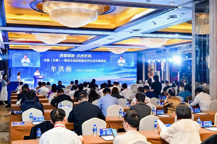 中国（云南）—南亚东南亚数智经济企业对接活动在昆举行