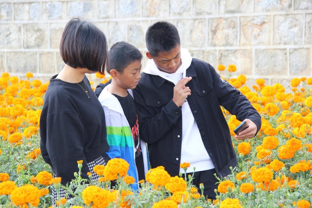 培植一朵鲜花 催开美丽经济